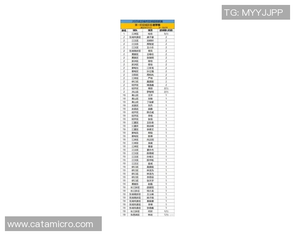 武汉足球队在全国速度排行榜中荣登第九名展现出强劲实力与潜力