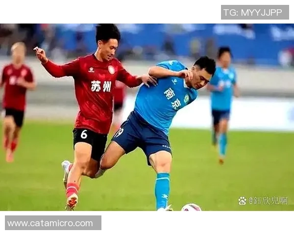 南京排球队的力量变革引发热议新篇章展现团队精神与竞技实力 南京排球队的力量变革引发热议新篇章展现团队精神与竞技实力