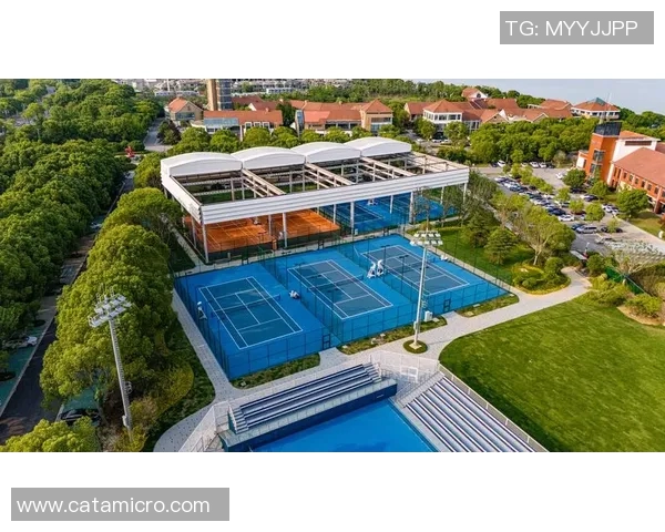 南京网球队迎来节奏变革引发热议推动网球运动新发展