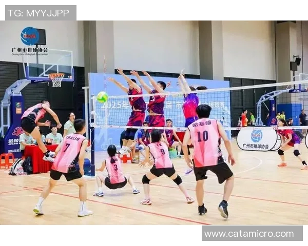 广州排球队实力强劲荣登排球个人能力排行榜第二名