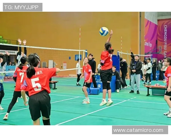 成都排球队包夹战术创新引领新潮流助力球队崛起