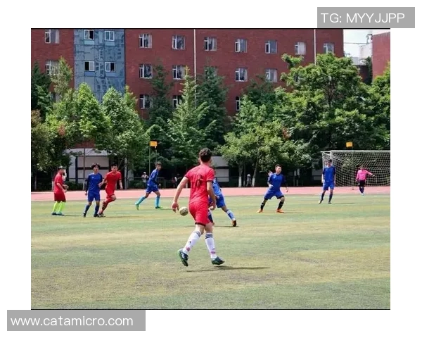 成都排球队边路渗透战术深度分析与实战应用探讨