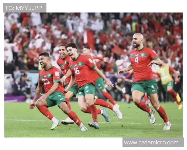 杭州乒乓球队迎接世界杯挑战的转型之路与未来展望 杭州乒乓球队迎接世界杯挑战的转型之路与未来展望