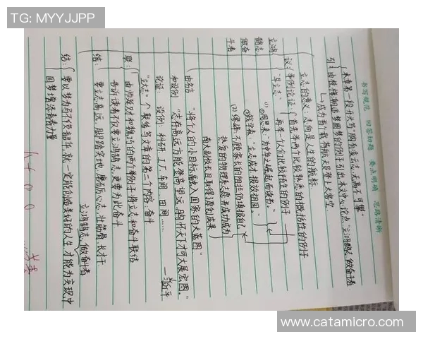 羽毛球场上的奋斗与梦想刘娜的深度对话与人生启示