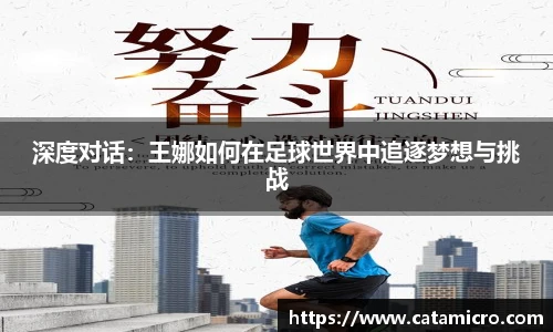 Bsports必一体育