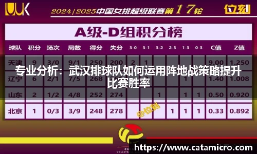 专业分析：武汉排球队如何运用阵地战策略提升比赛胜率