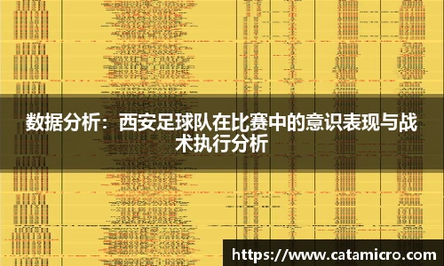 数据分析：西安足球队在比赛中的意识表现与战术执行分析