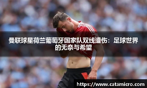 Bsports必一体育
