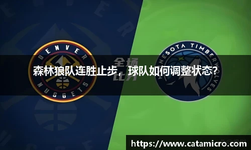 森林狼队连胜止步，球队如何调整状态？