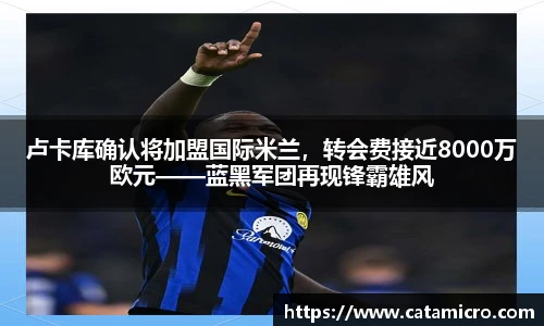 bsports官网入口