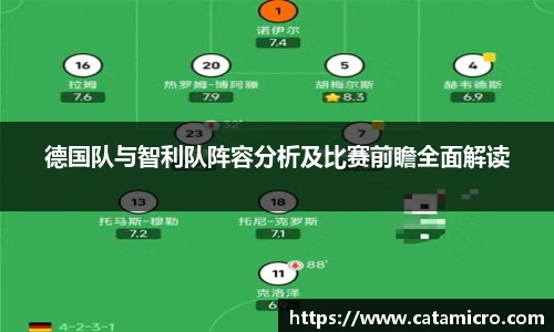 B体育官网