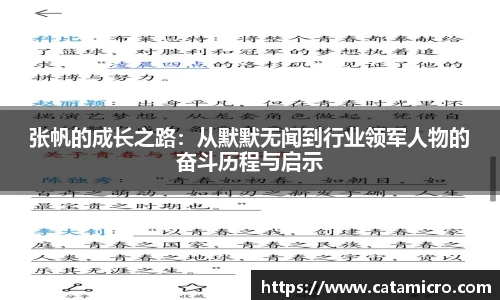 张帆的成长之路：从默默无闻到行业领军人物的奋斗历程与启示