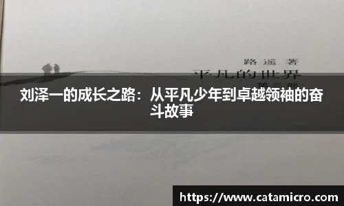 bsports官网