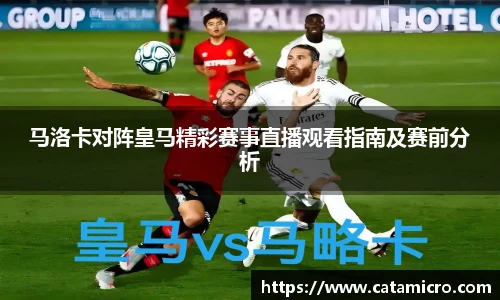 Bsports必一体育