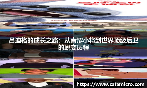 B体育官网